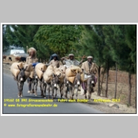 19162 08 392 Strassenscenen - Fahrt nach Gondar - Aethiopien 2012.jpg